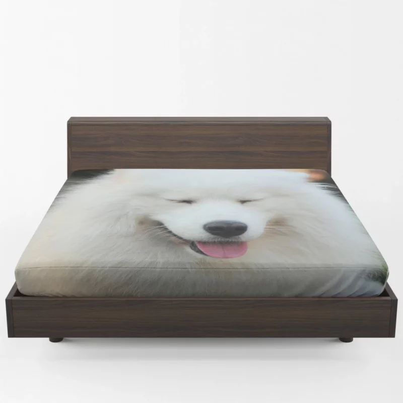 Samoyed Close-Up Fluffy Elegance Fitted Sheet