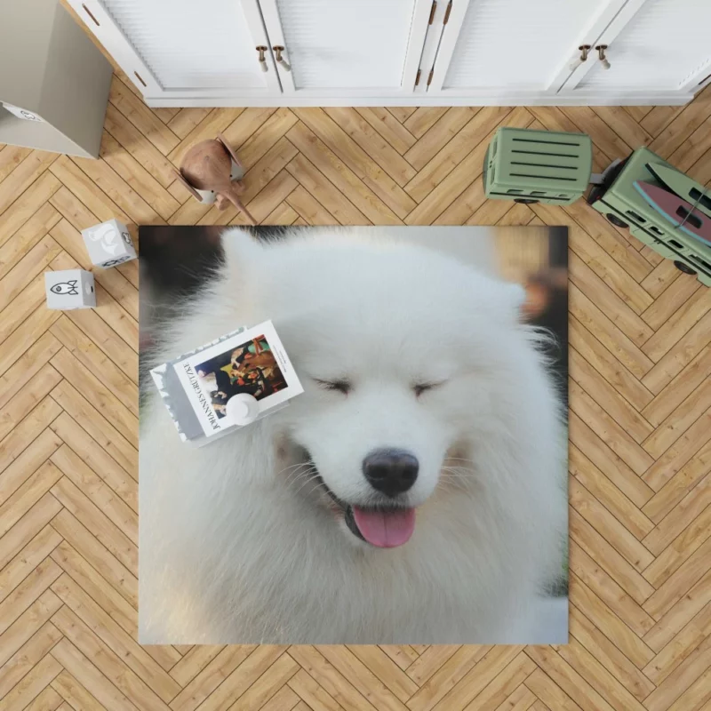 Samoyed Close-Up Fluffy Elegance Rug