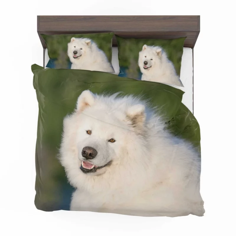 Samoyed Fluffy Grace Canine Elegance Bedding Set 1