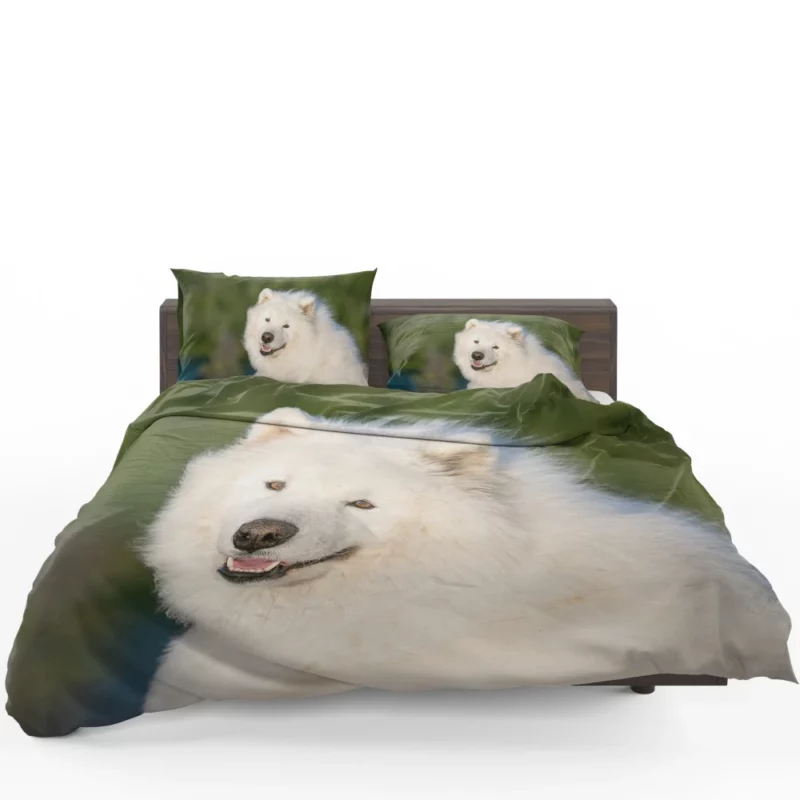 Samoyed Fluffy Grace Canine Elegance Bedding Set