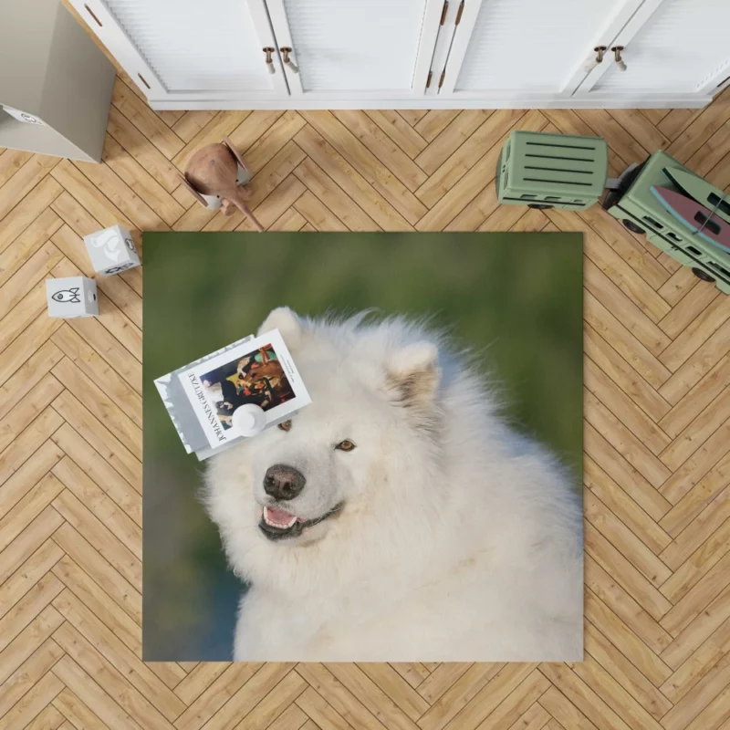 Samoyed Fluffy Grace Canine Elegance Rug