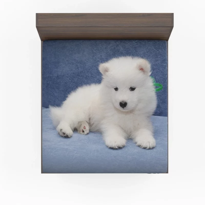 Samoyed Puppy Fluffy Wonder Innocence Fitted Sheet 1