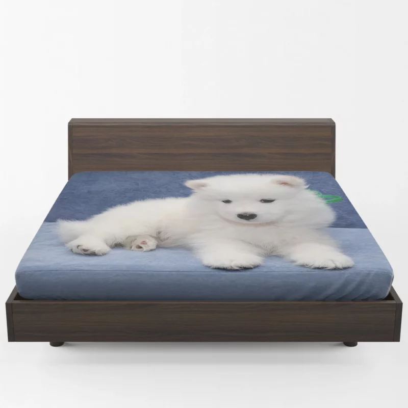 Samoyed Puppy Fluffy Wonder Innocence Fitted Sheet