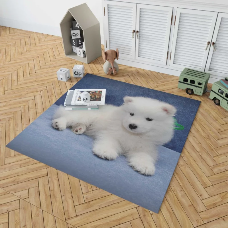 Samoyed Puppy Fluffy Wonder Innocence Rug 1