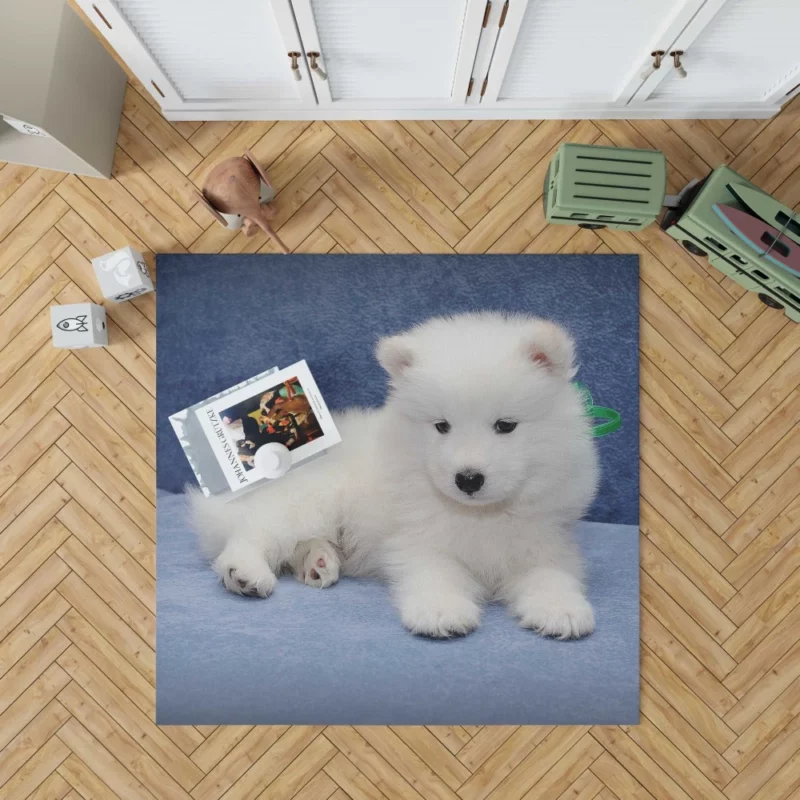 Samoyed Puppy Fluffy Wonder Innocence Rug