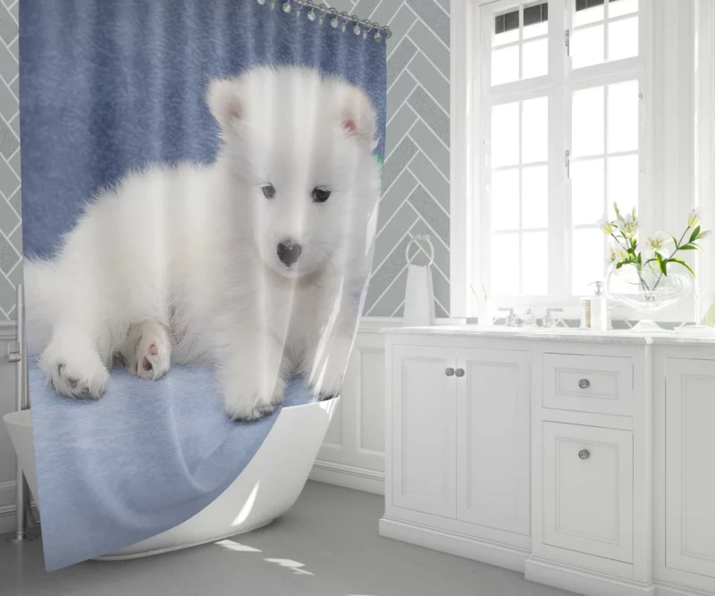 Samoyed Puppy Fluffy Wonder Innocence Shower Curtain 1