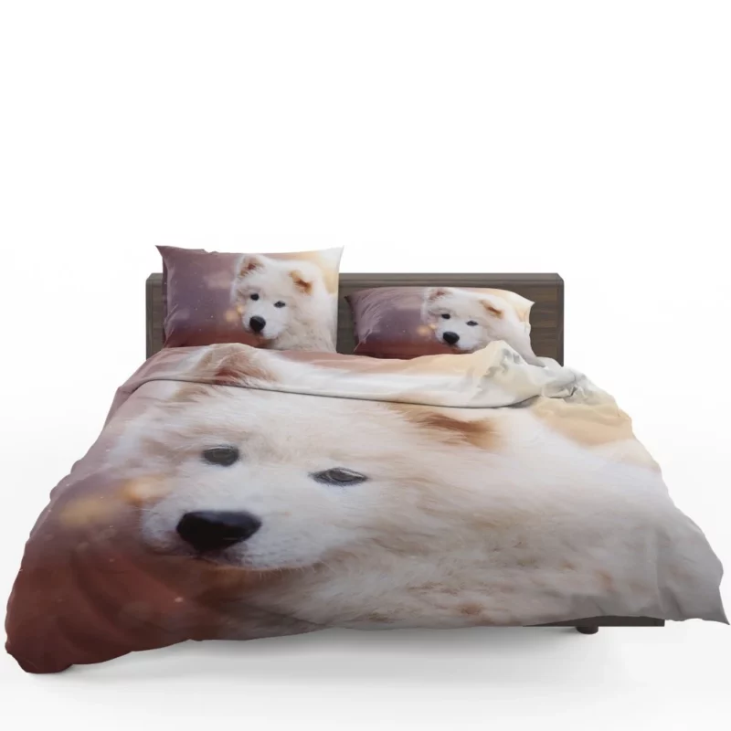 Samoyed Puppy Innocent Whimsy Bedding Set