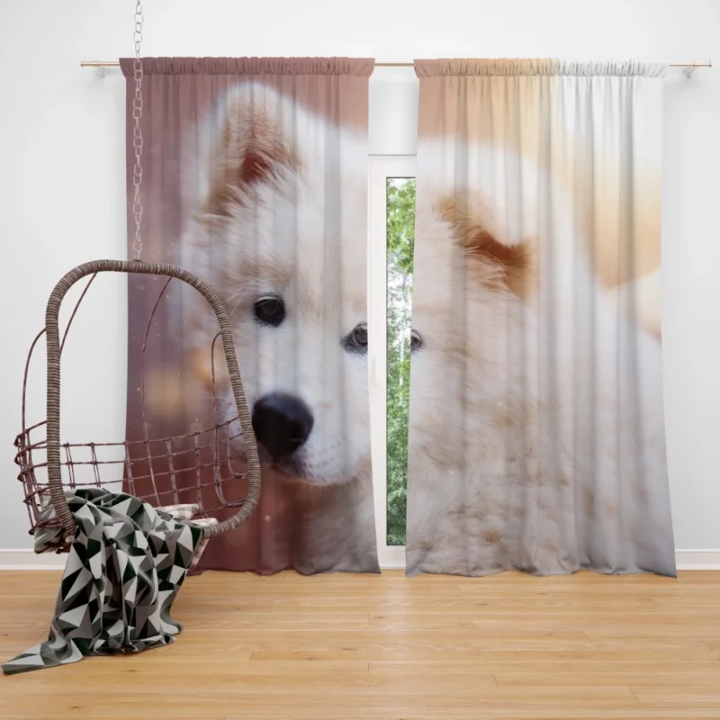 Samoyed Puppy Innocent Whimsy Curtain