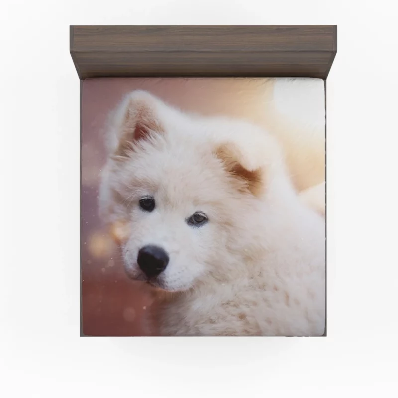 Samoyed Puppy Innocent Whimsy Fitted Sheet 1