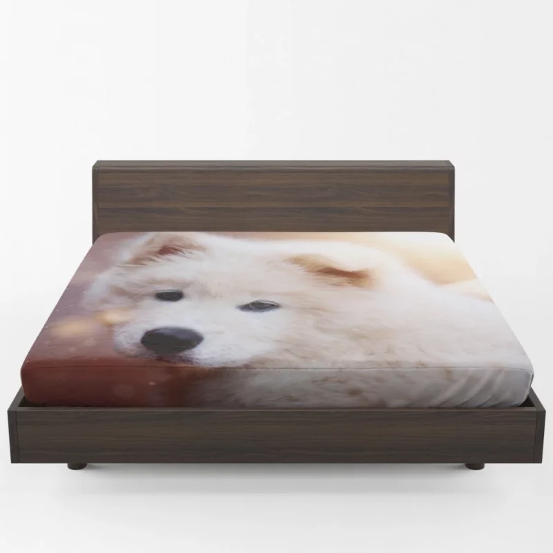 Samoyed Puppy Innocent Whimsy Fitted Sheet