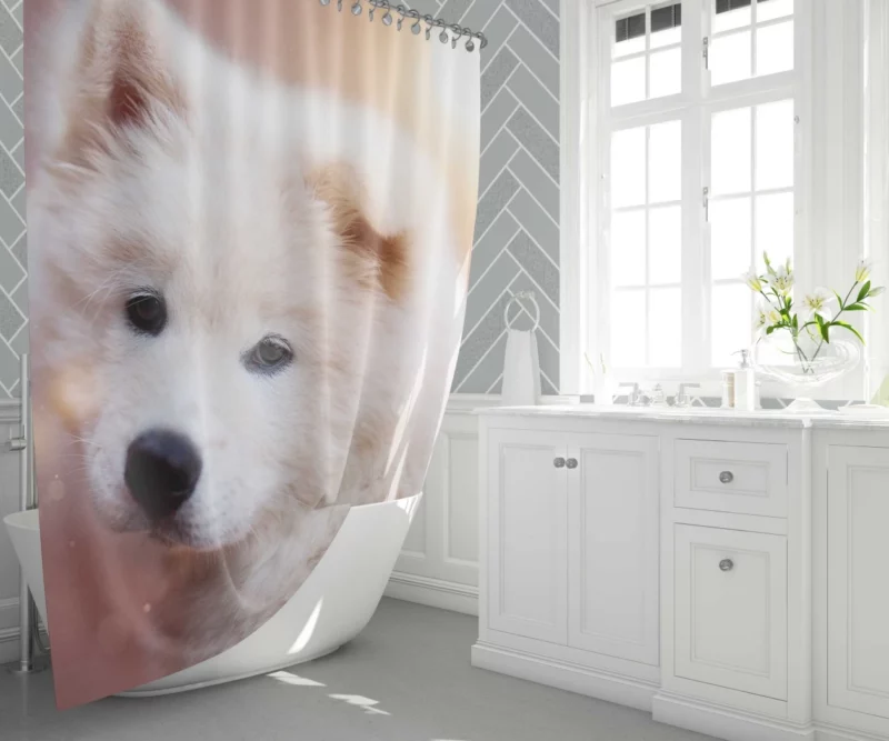 Samoyed Puppy Innocent Whimsy Shower Curtain 1