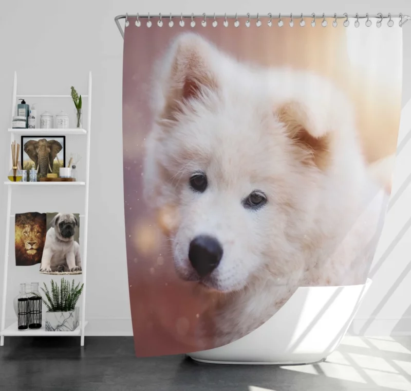 Samoyed Puppy Innocent Whimsy Shower Curtain