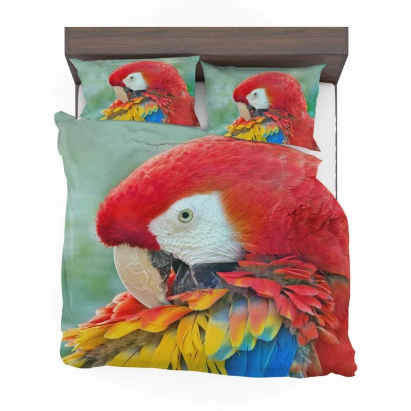 Scarlet Macaw Feathered Brilliance Tropical Charm Bedding Set 1