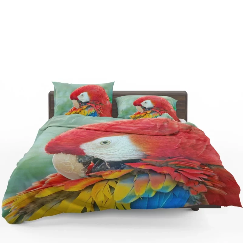 Scarlet Macaw Feathered Brilliance Tropical Charm Bedding Set