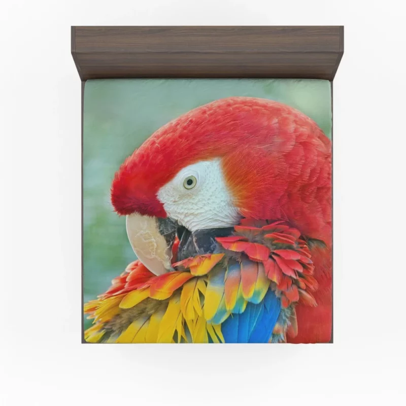 Scarlet Macaw Feathered Brilliance Tropical Charm Fitted Sheet 1