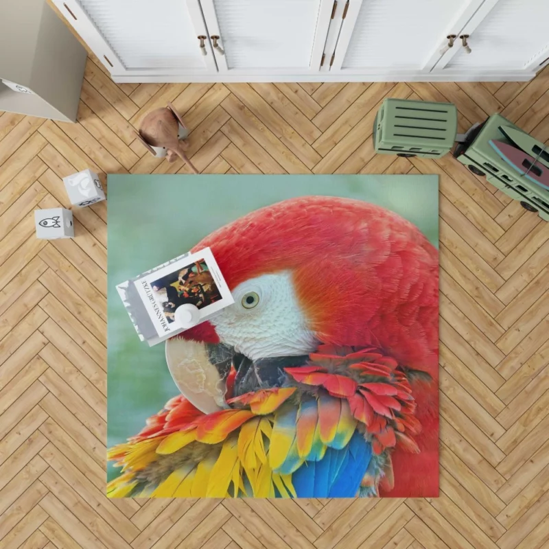 Scarlet Macaw Feathered Brilliance Tropical Charm Rug