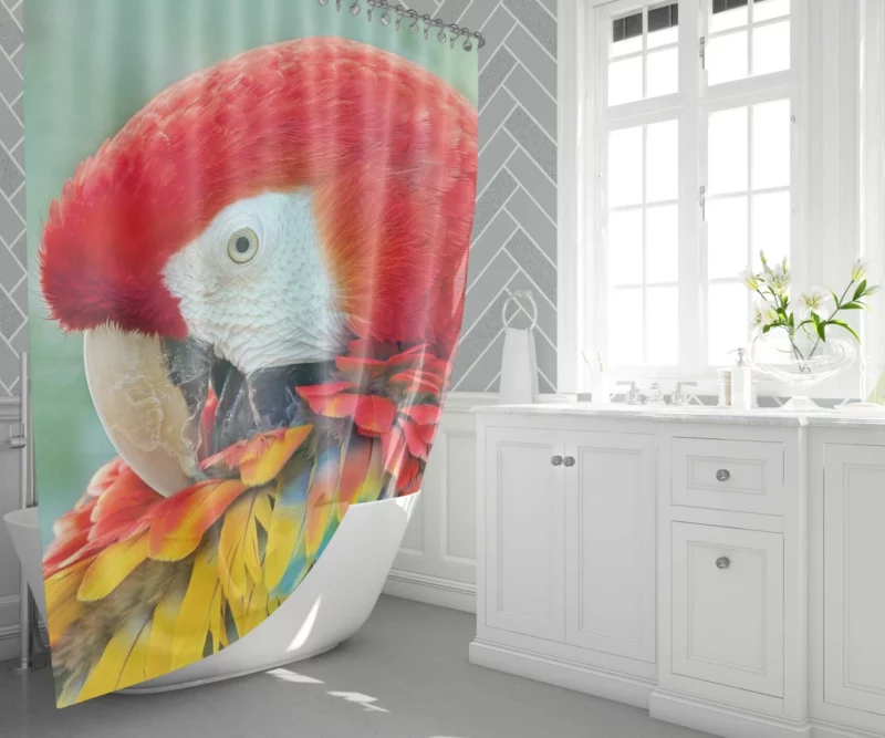 Scarlet Macaw Feathered Brilliance Tropical Charm Shower Curtain 1