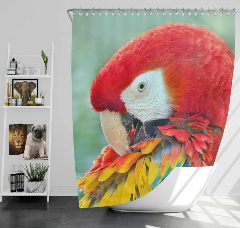 Scarlet Macaw Feathered Brilliance Tropical Charm Shower Curtain