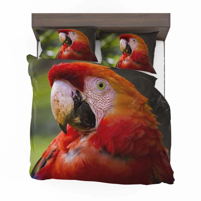 Scarlet Macaw Fiery Charm Tropical Delight Bedding Set 1