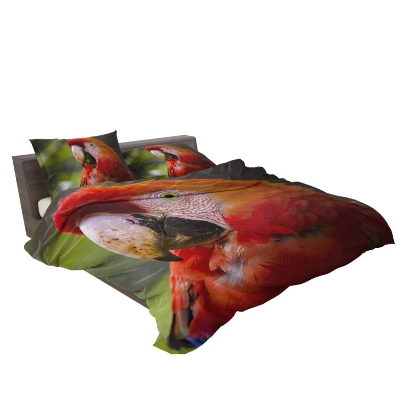 Scarlet Macaw Fiery Charm Tropical Delight Bedding Set 2