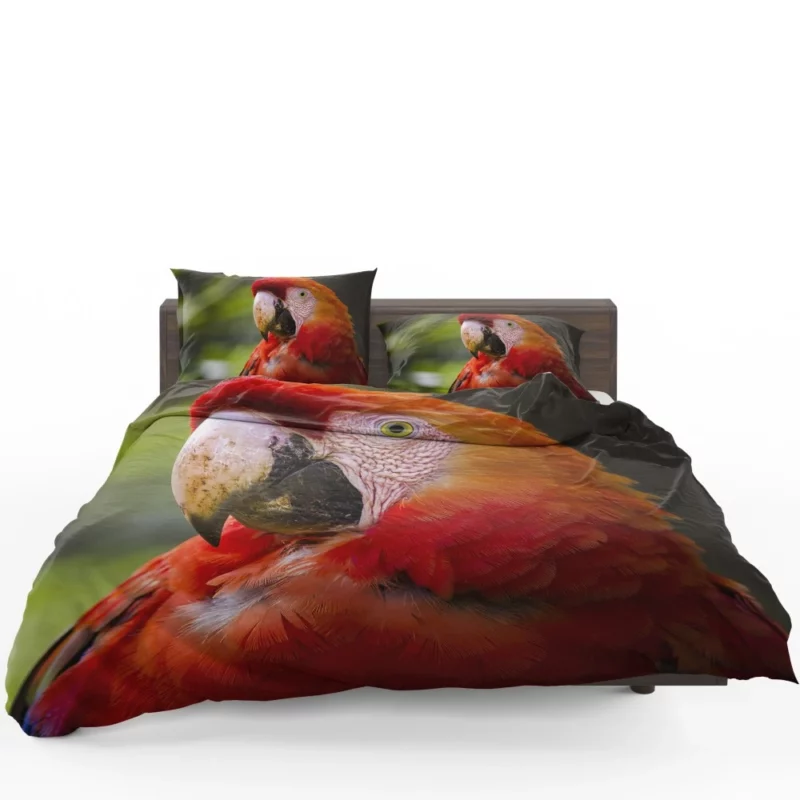 Scarlet Macaw Fiery Charm Tropical Delight Bedding Set