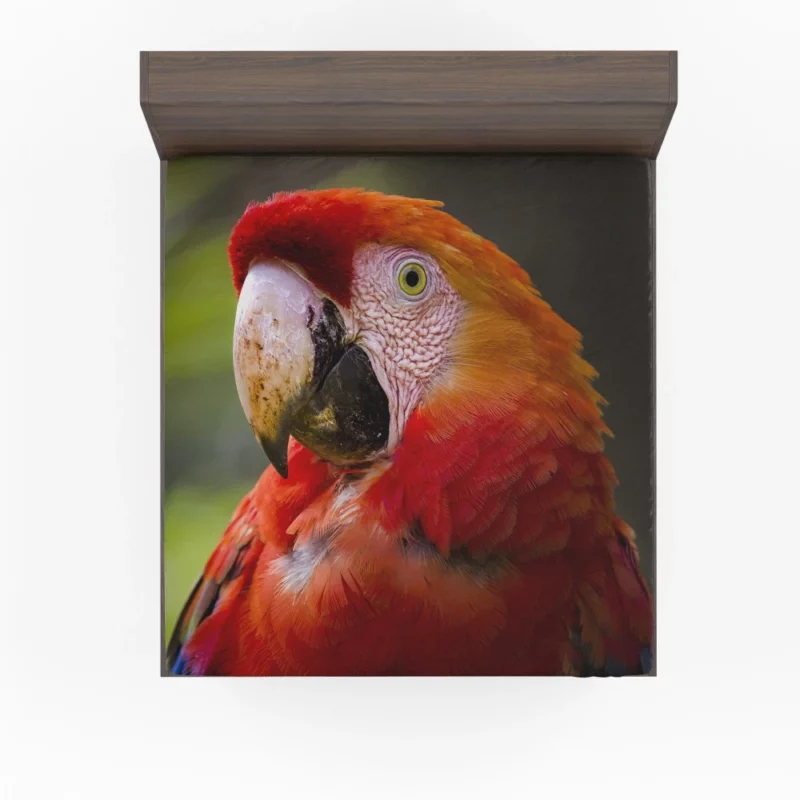 Scarlet Macaw Fiery Charm Tropical Delight Fitted Sheet 1