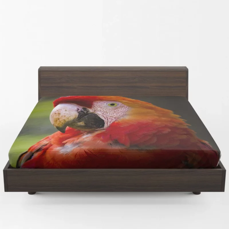 Scarlet Macaw Fiery Charm Tropical Delight Fitted Sheet