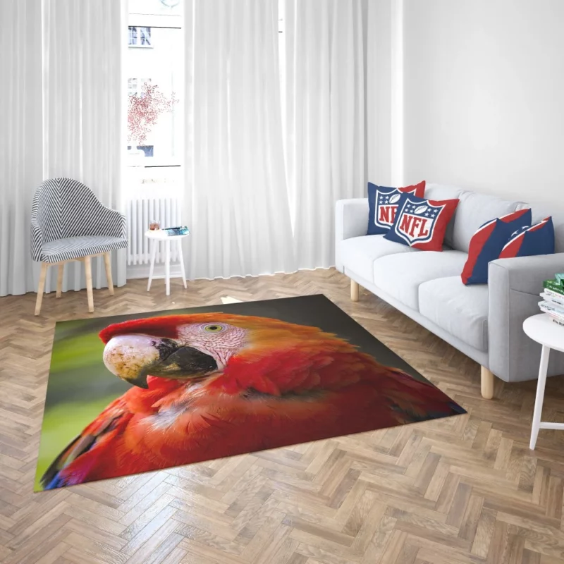 Scarlet Macaw Fiery Charm Tropical Delight Rug 2