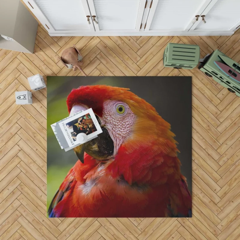 Scarlet Macaw Fiery Charm Tropical Delight Rug