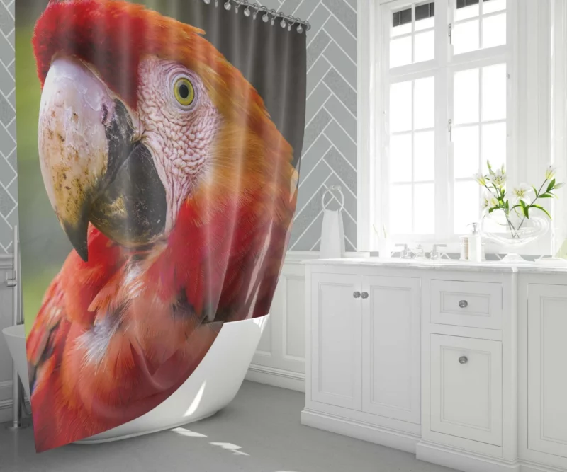 Scarlet Macaw Fiery Charm Tropical Delight Shower Curtain 1