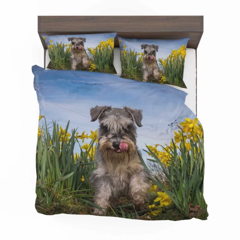 Schnauzer Amidst Yellow Daffodils Bedding Set 1