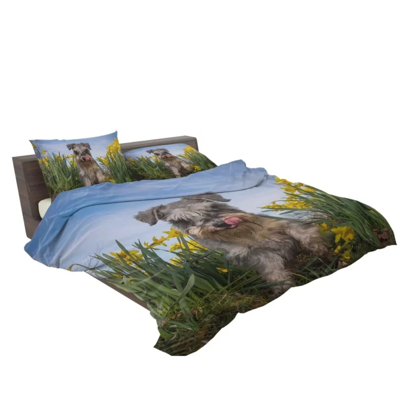 Schnauzer Amidst Yellow Daffodils Bedding Set 2