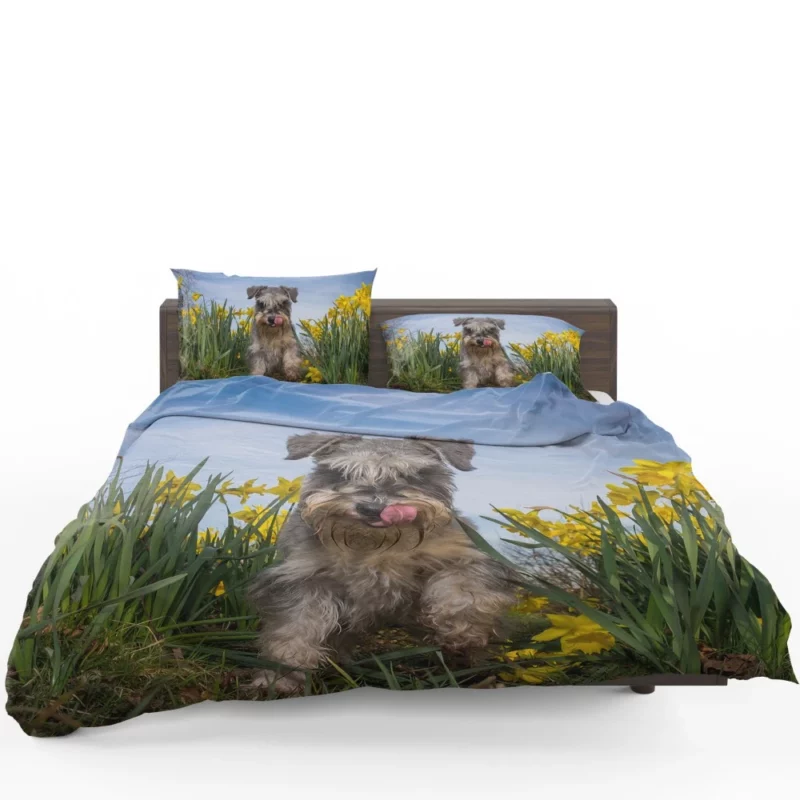 Schnauzer Amidst Yellow Daffodils Bedding Set