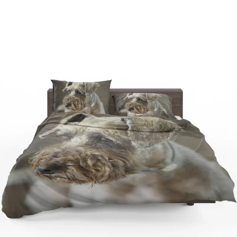 Schnauzer Distinguished Muzzle Canine Persona Bedding Set