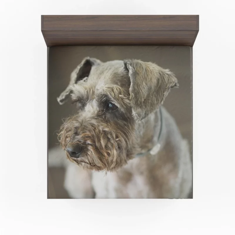 Schnauzer Distinguished Muzzle Canine Persona Fitted Sheet 1