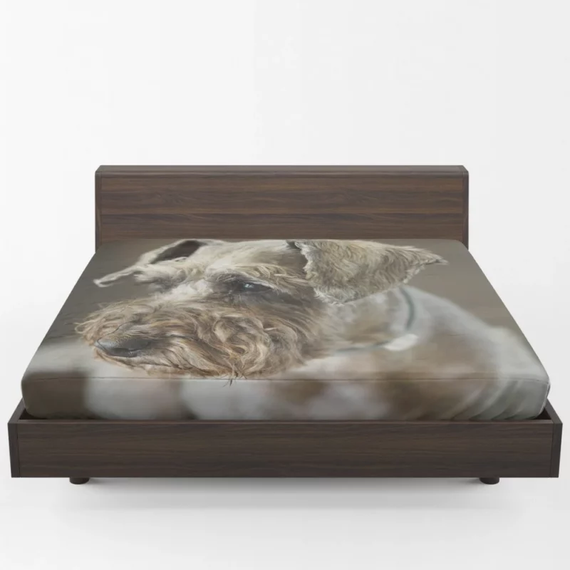 Schnauzer Distinguished Muzzle Canine Persona Fitted Sheet