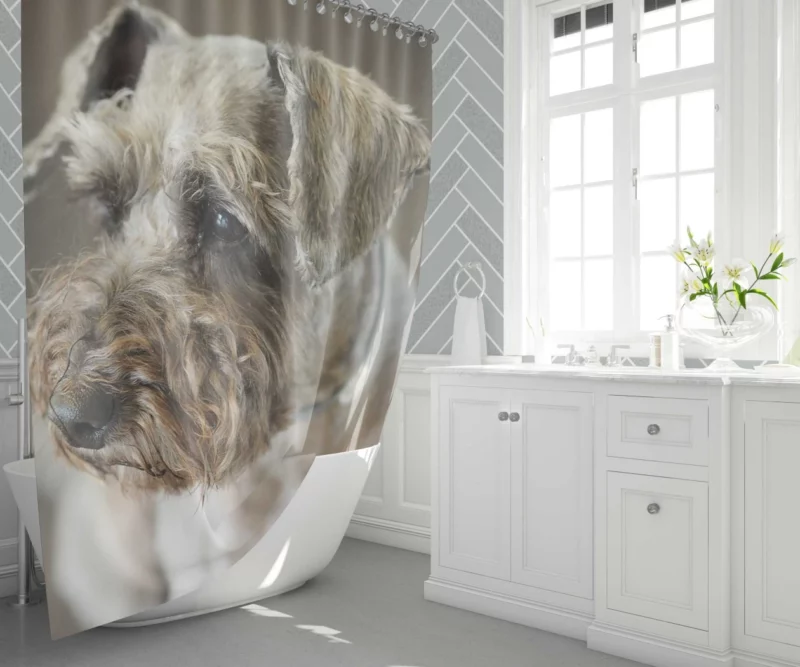 Schnauzer Distinguished Muzzle Canine Persona Shower Curtain 1