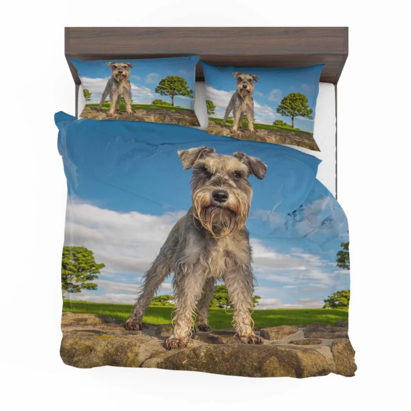 Schnauzer Energetic Stance Bedding Set 1