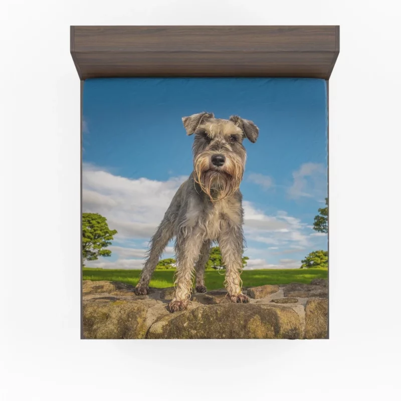 Schnauzer Energetic Stance Fitted Sheet 1