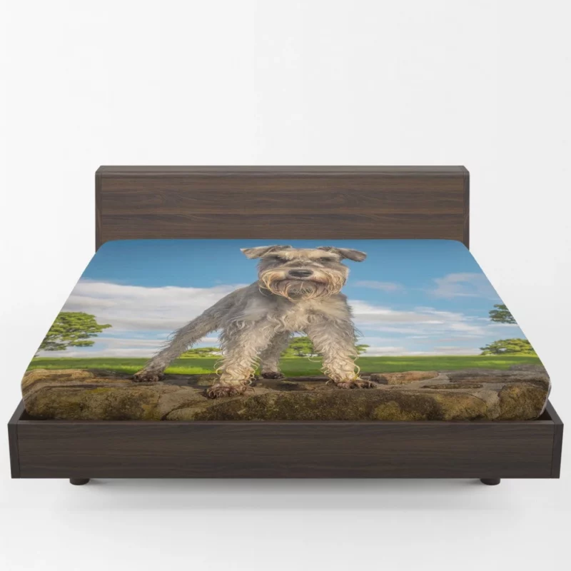 Schnauzer Energetic Stance Fitted Sheet