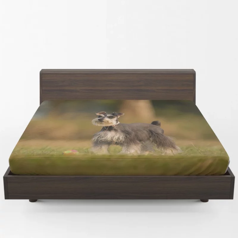 Schnauzer Grassy Rest Furry Delight Fitted Sheet