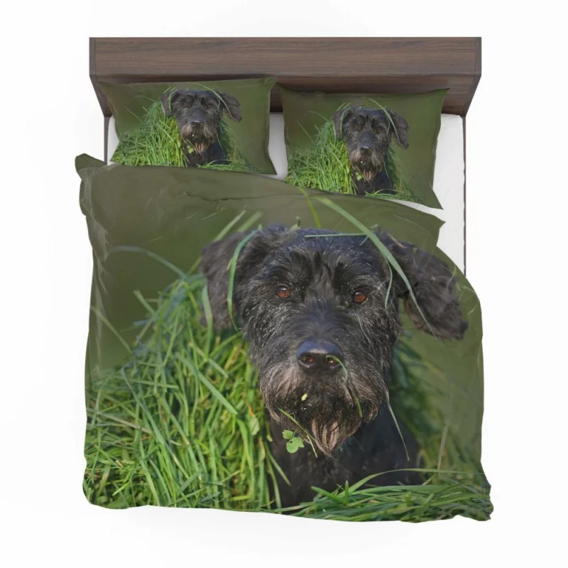 Schnauzer Muzzle and Meadow Bedding Set 1