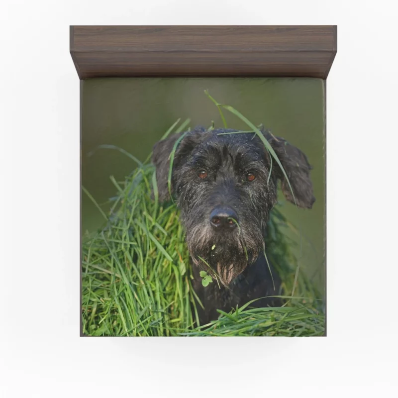 Schnauzer Muzzle and Meadow Fitted Sheet 1