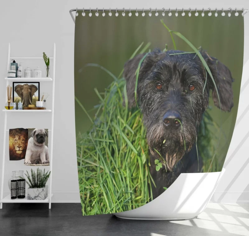 Schnauzer Muzzle and Meadow Shower Curtain