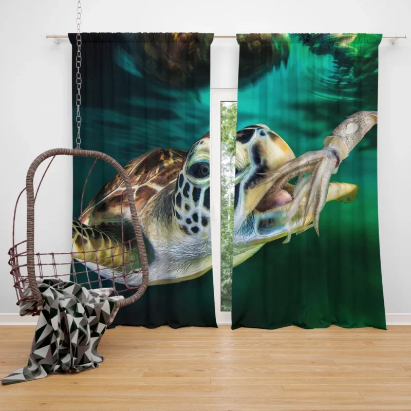 Sea Turtle Oceanic Encounter Squid Meal Curtain