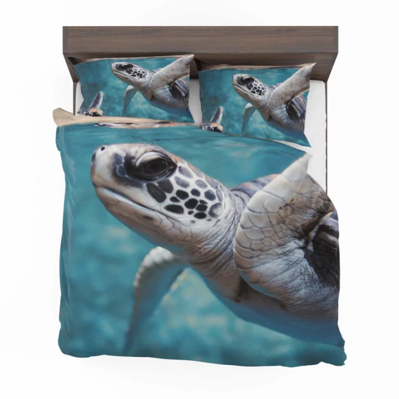 Sea Turtle Oceanic Journey Graceful Bedding Set 1