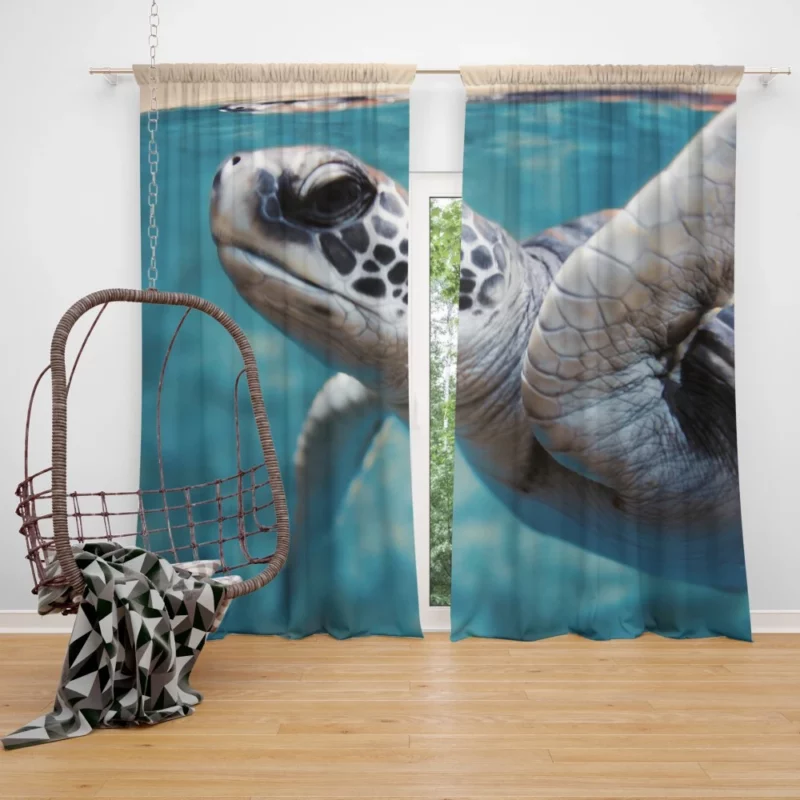 Sea Turtle Oceanic Journey Graceful Curtain