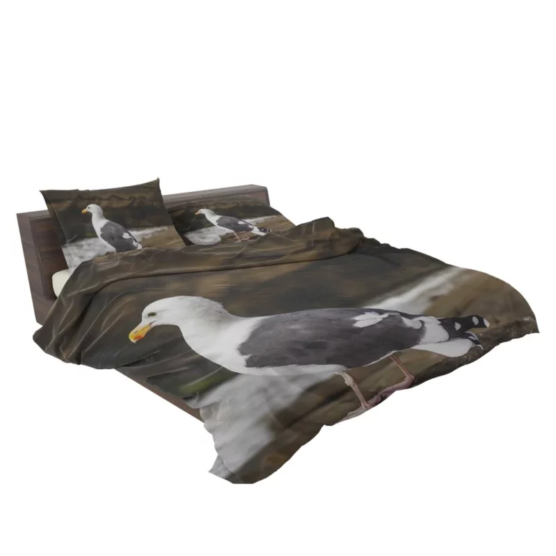 Seagull Coastal Pause Rocky Reflection Bedding Set 2