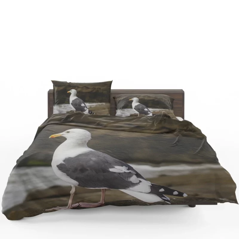 Seagull Coastal Pause Rocky Reflection Bedding Set