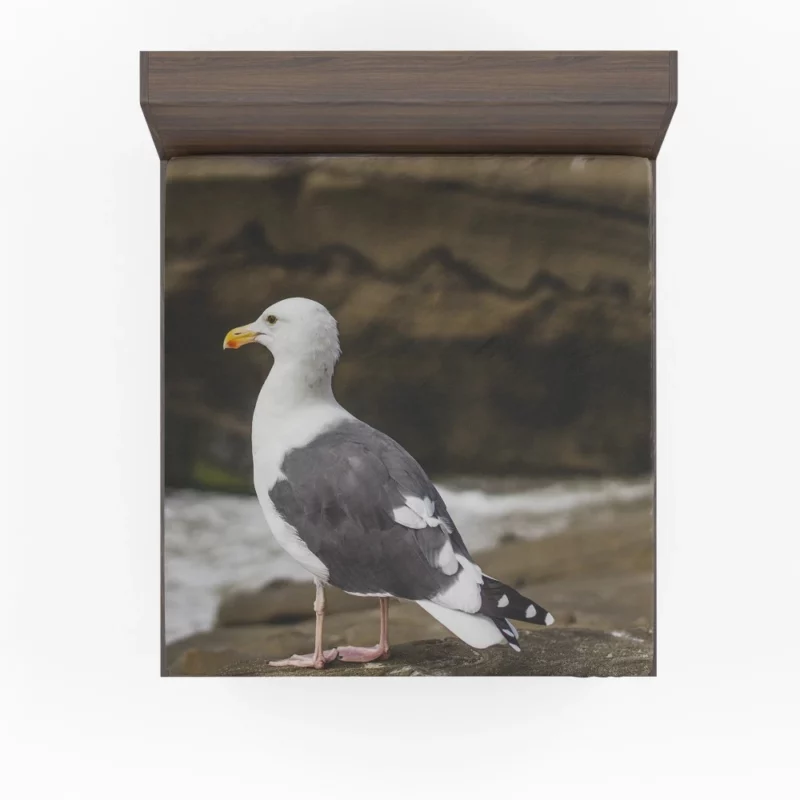 Seagull Coastal Pause Rocky Reflection Fitted Sheet 1